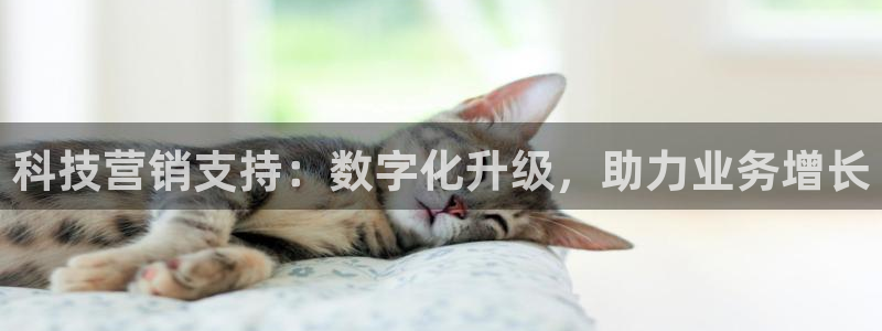 金年会网站可靠吗