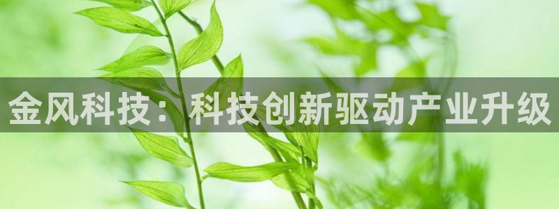 金年会官方下载入口手机版