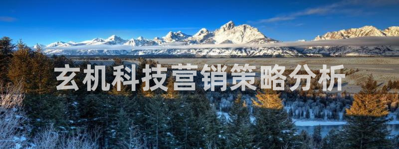 金年会会不会提不了款