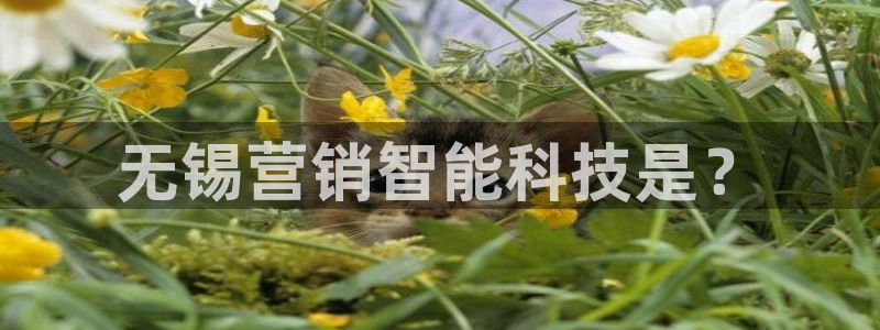 金年会官方网站入口登录手机版下载安装