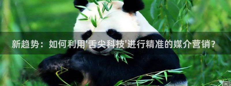 金年会是什么平台