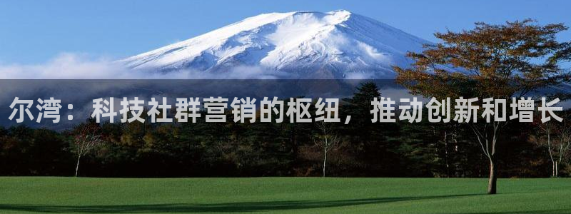 金年会官方入口app
