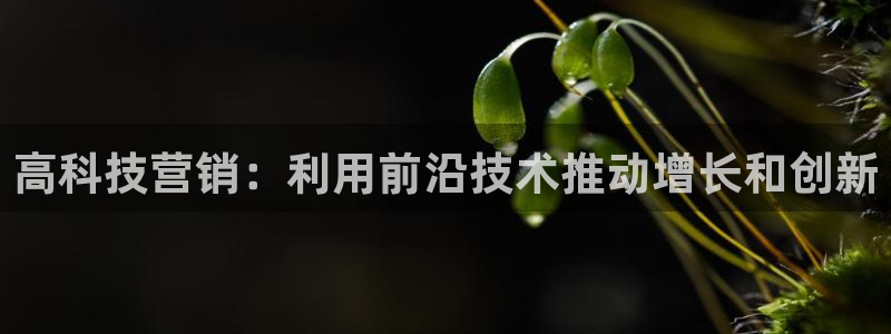金年会体育app最新官网下载