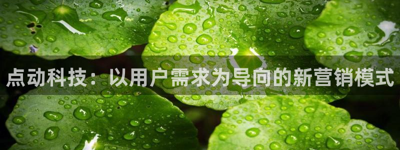 金年会体育app平台怎么样