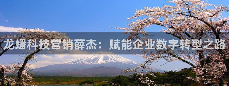 金年会体育登入入口