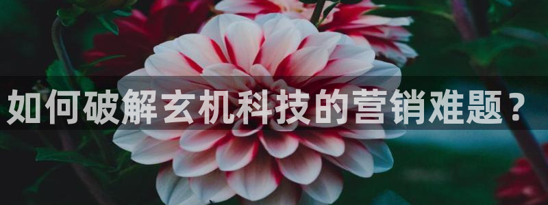 金年会官方娱乐app下载安装