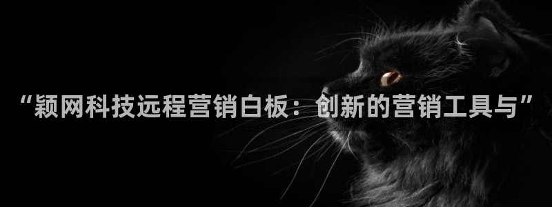 金年会网站多少
