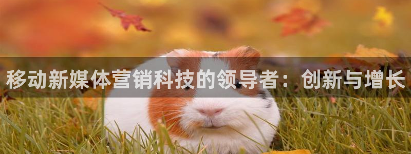 金年会手机网页版