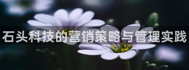 金年会体育苹果下载app