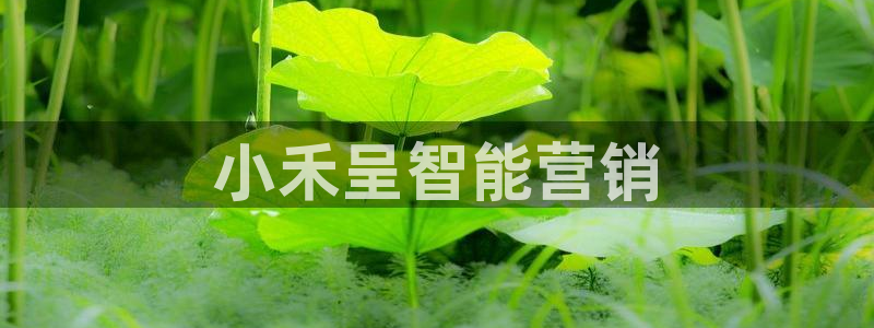 金年会官方入口2023