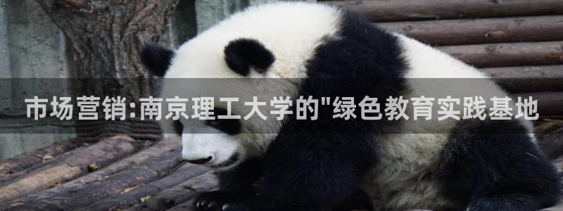 金年会体育官网