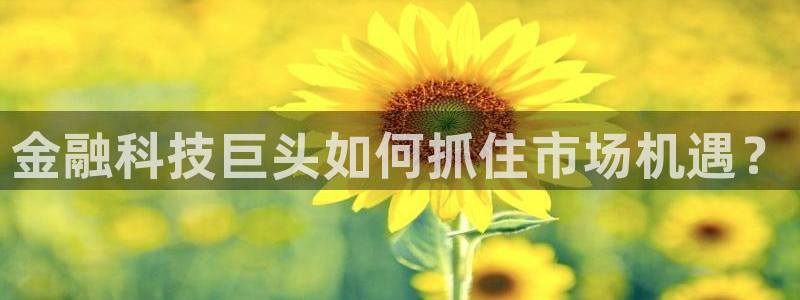 金年会体育app最新官网