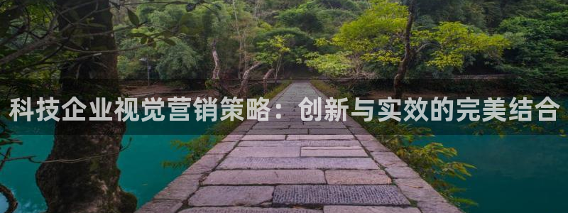 金年会电子