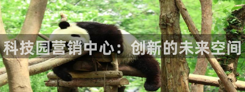 金年会pg官网