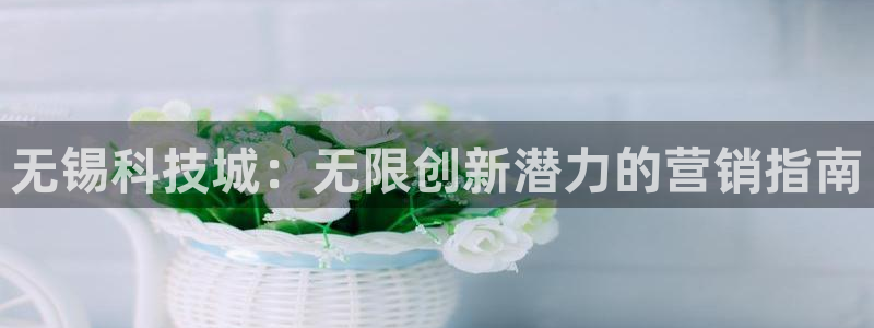 金年会体育在线登陆入口