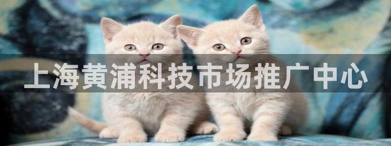 金年会在线入口2023