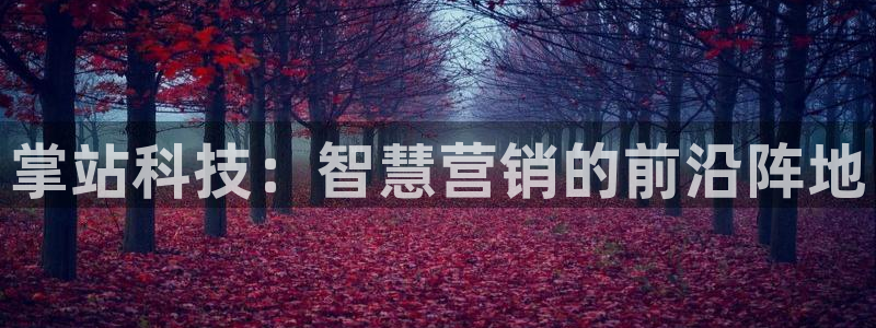 金年会app官网下载