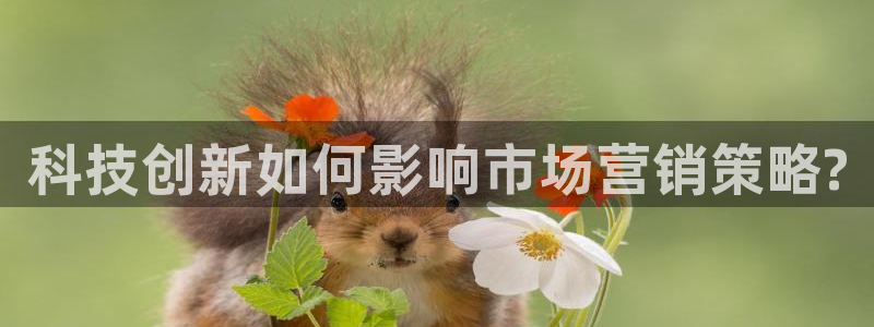 金年会信誉至上