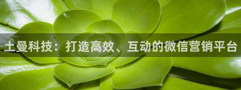 金年会ios下载
