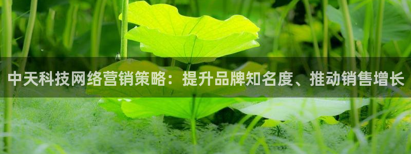 金年会官方入口app