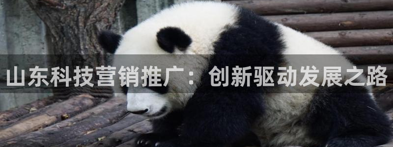 金年会金字招牌入口
