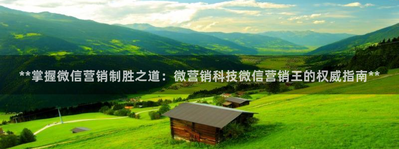 金年会官方入口网站