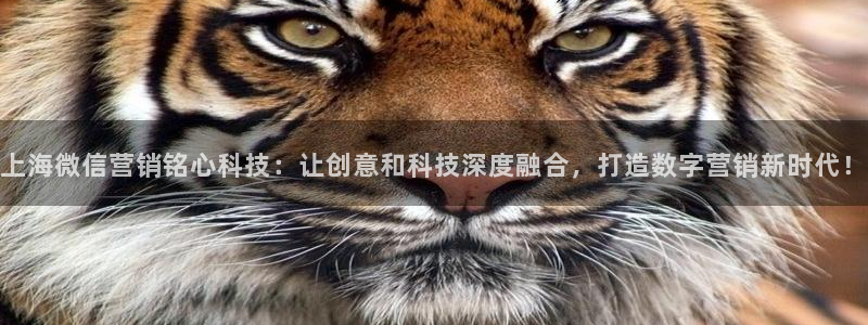 金年会网站拒绝出款怎么办?