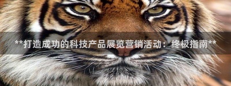 金年会体育在线