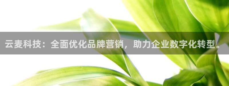 金年会app官网下载