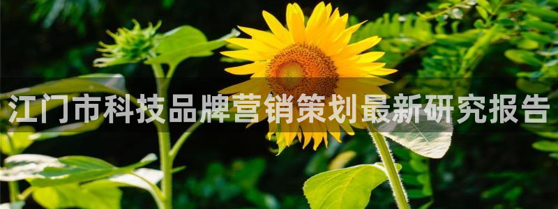 金年会手机版怎么下载