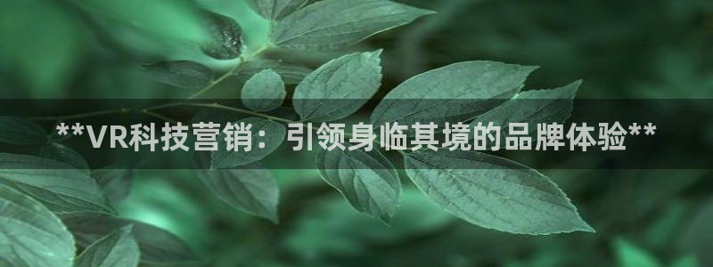 金年会qq群