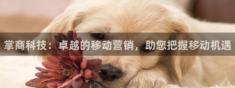 金年会下载