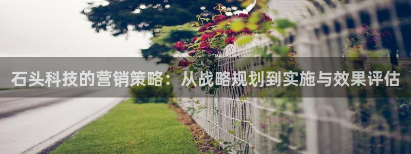 金年会体育如何