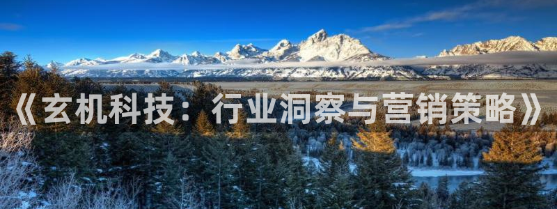 金年会下载软件