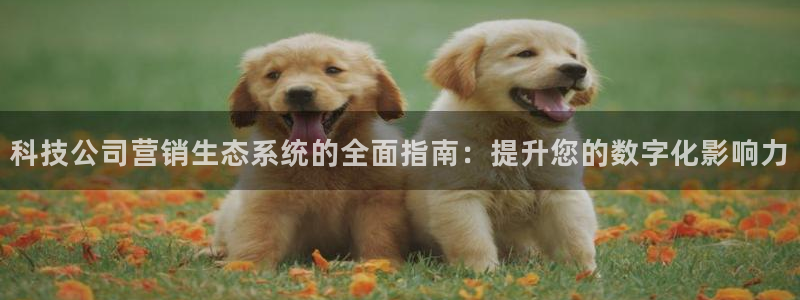 金年会官网登入