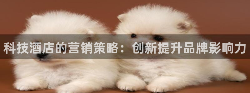 金年会体育如何