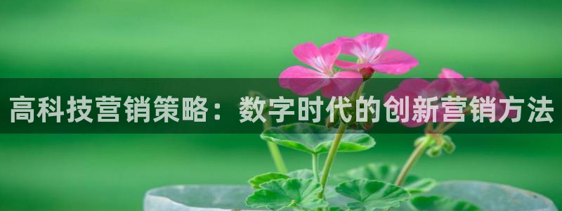 金年会体育合法吗