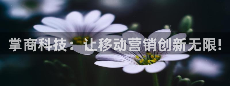 金年会是不是黑平台