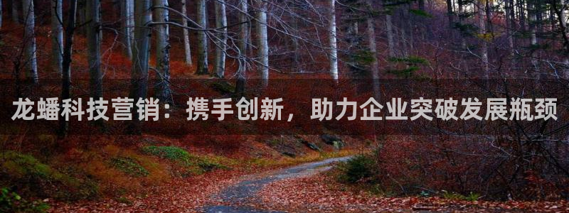 金年会网址
