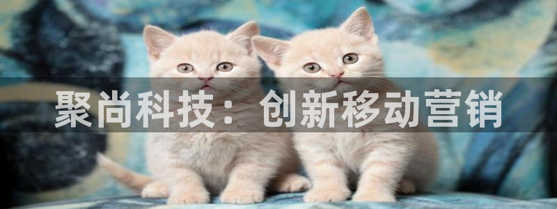金年会体育app平台怎么样可靠吗