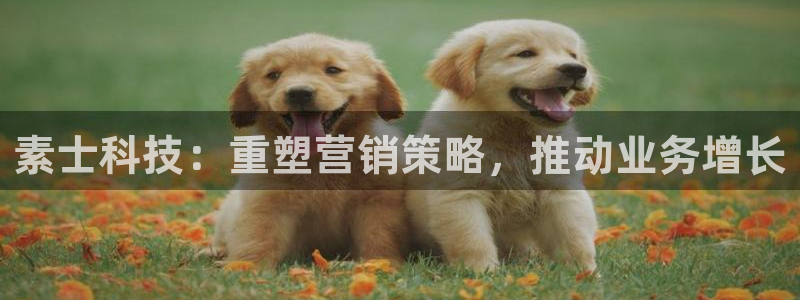 金年会赌博app平台可靠吗安全吗