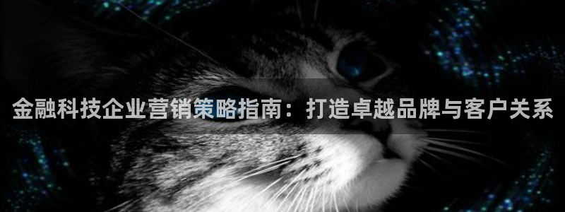 金年会网站被拒绝出款怎么处理?