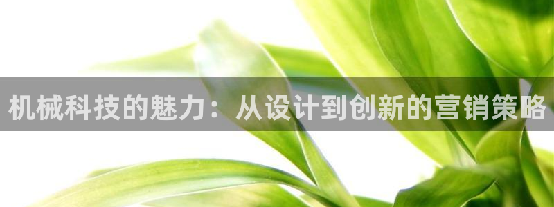 金年会网站洗黑钱
