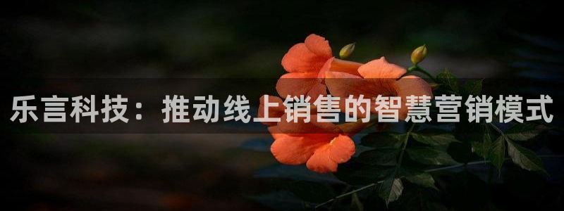 金年会是什么平台会不会提不了现