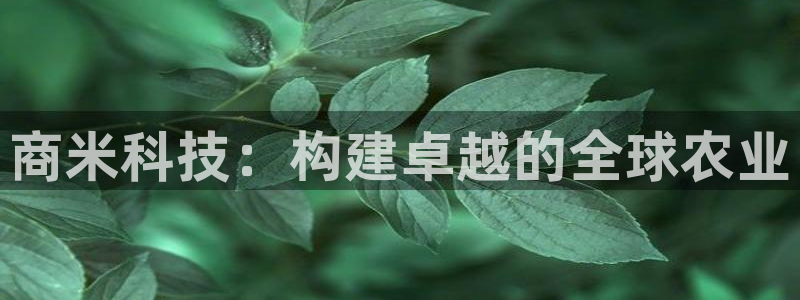 金年会app平台有人玩过吗知乎