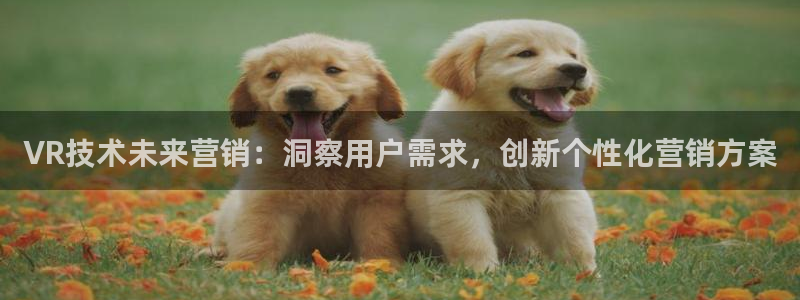 金年会体育电子官方网站