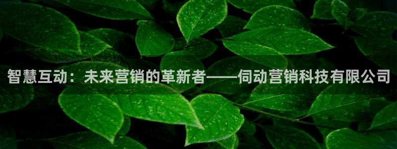 金年会体育app下载官网苹果