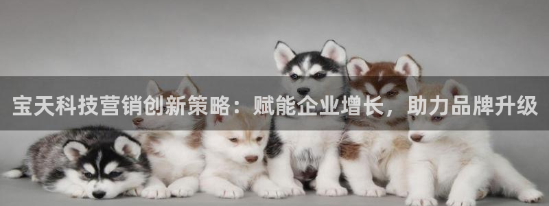 金年会官方app下载苹果