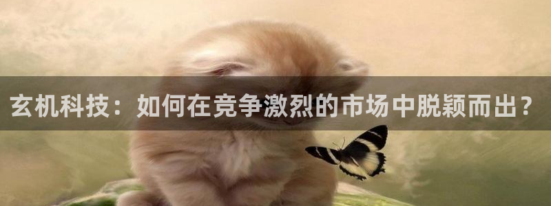 金年会平台是黑网还是白网