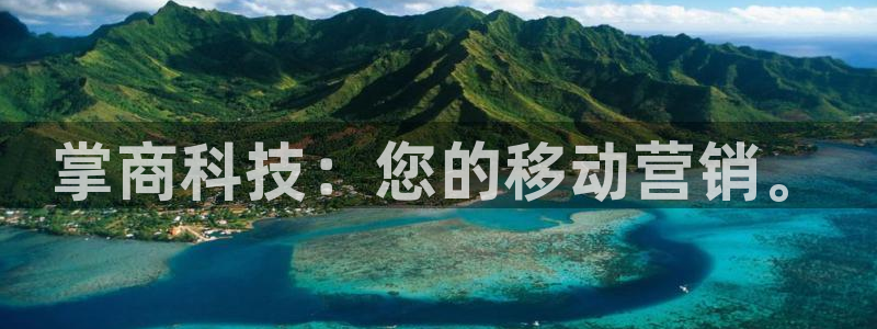 金年会体育app最新官网入口